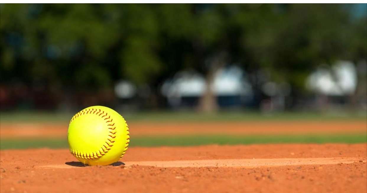 2 National Softball Association of the Deaf